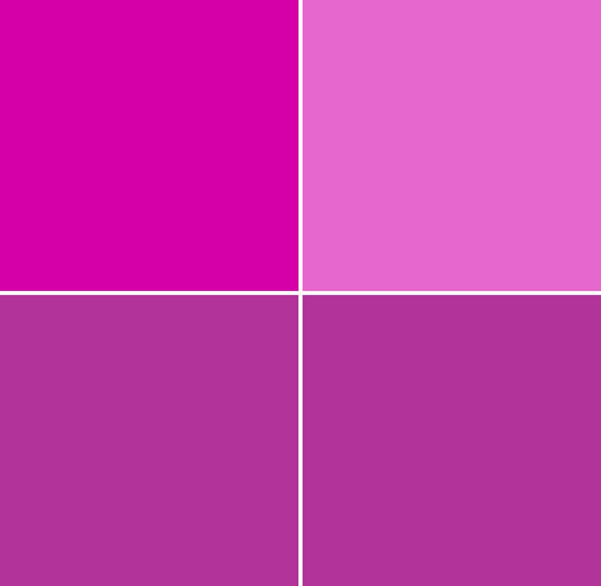 A grid of 4 blocks.  Each is coloured with a different version of a red-violet colour.