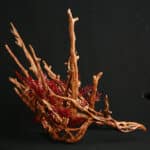 A plastic replica of a Thranduil crown - from The Hobbit -painted to look realistically like wooden twigs. Small branches of red plastic leaves are woven among the branches.