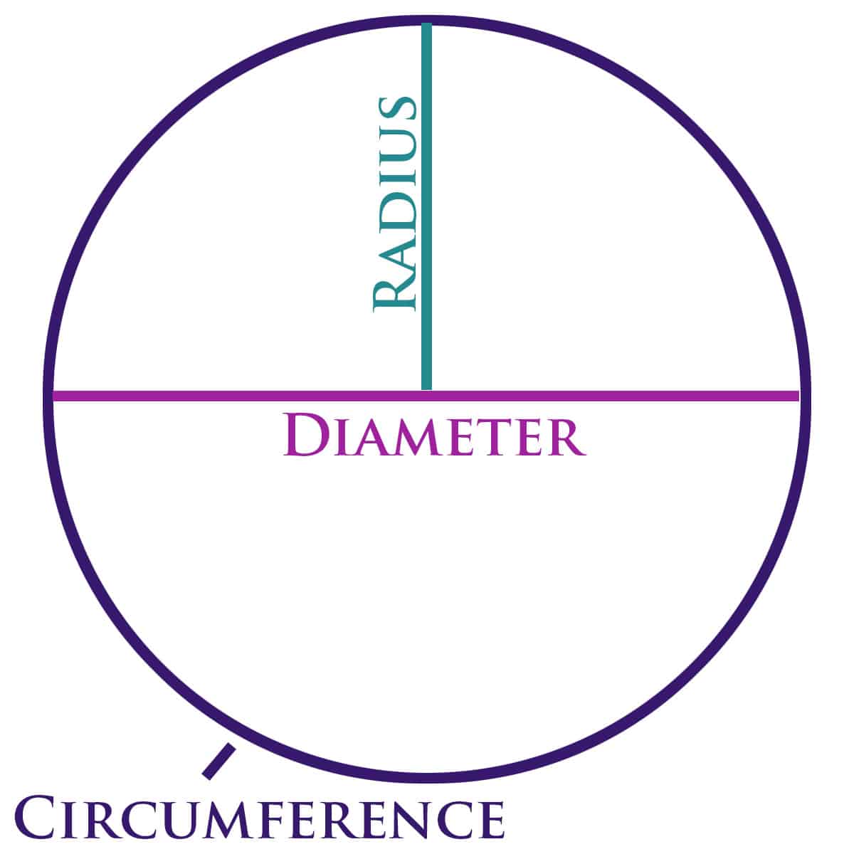 A diagram of a circle, pointing out the circumference, radius, and diameter.
